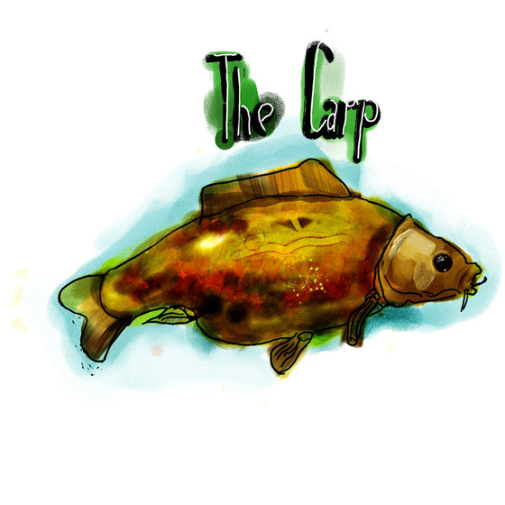 The carp